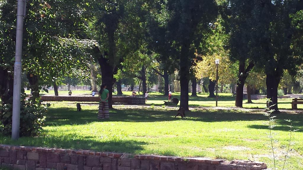 Hotel Alta Mendoza Bagian luar foto